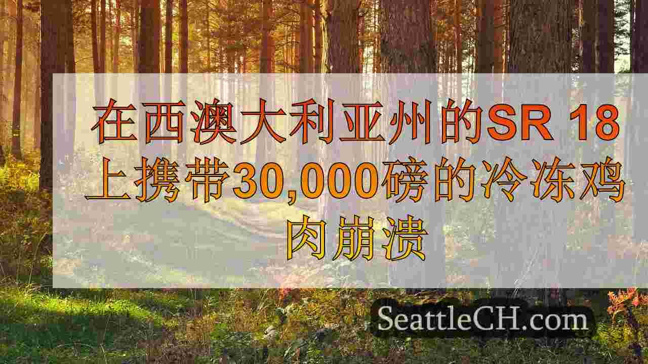 西雅图新闻 SeattleCH