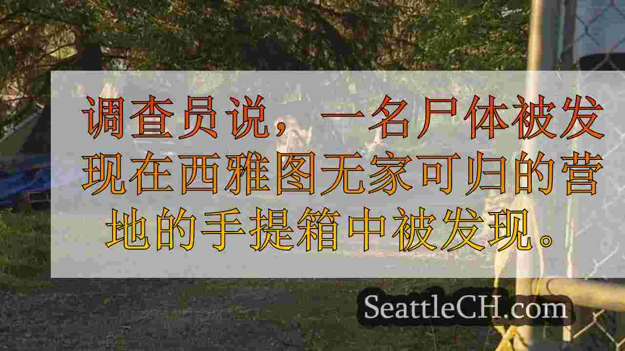 西雅图新闻 SeattleCH