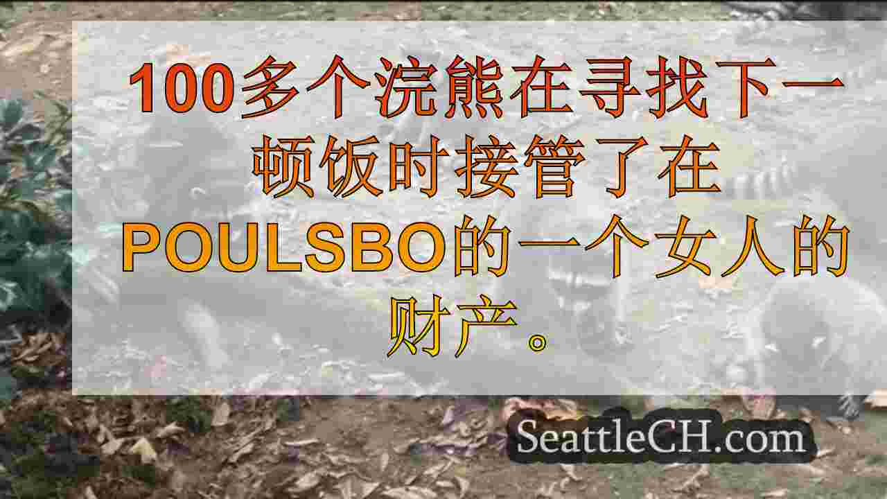 西雅图新闻 SeattleCH