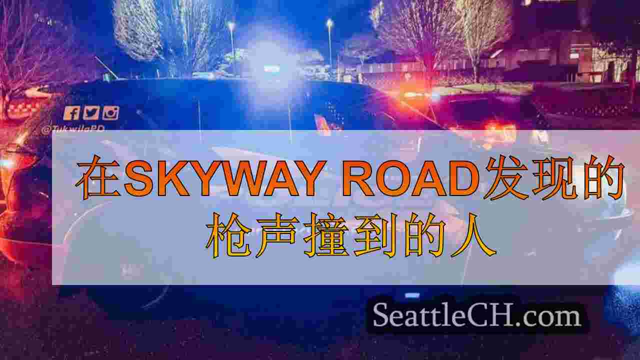 在Skyway Road发现的枪声撞到的人