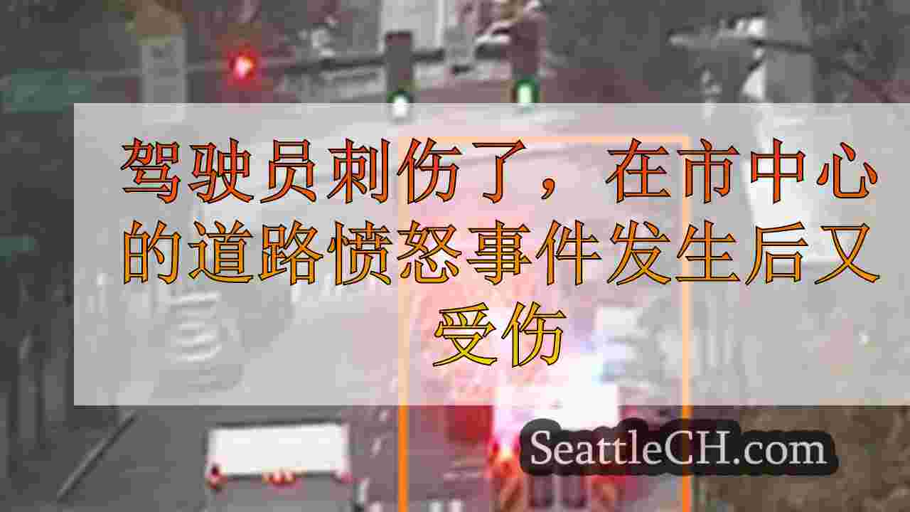 驾驶员被刺伤，在西雅图市中心的道路愤怒事件发生后又受伤