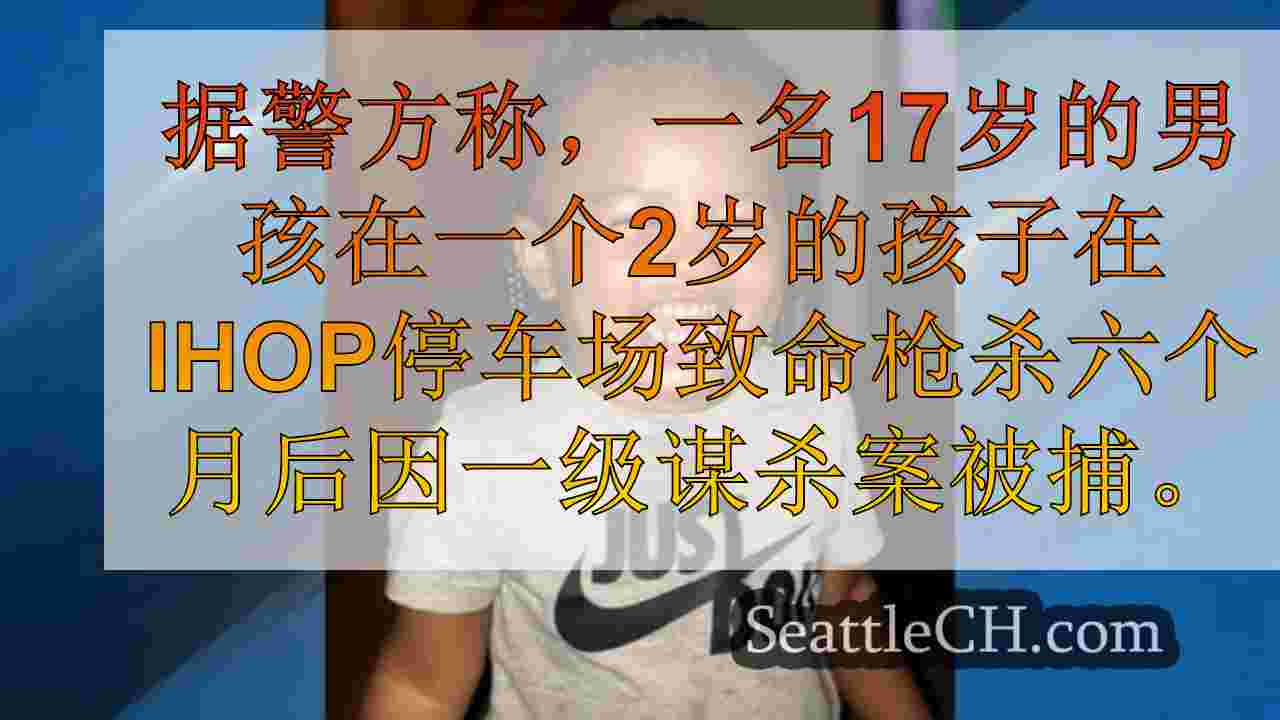 西雅图新闻 SeattleCH
