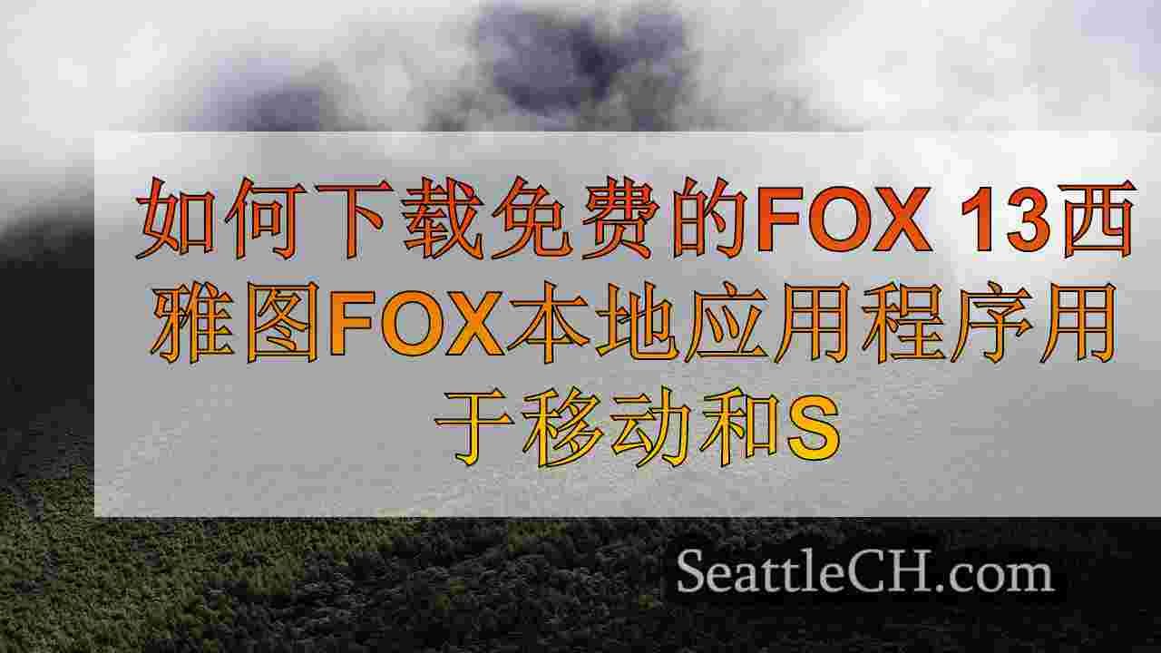 西雅图新闻 SeattleCH