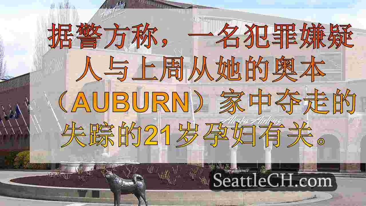 西雅图新闻 SeattleCH