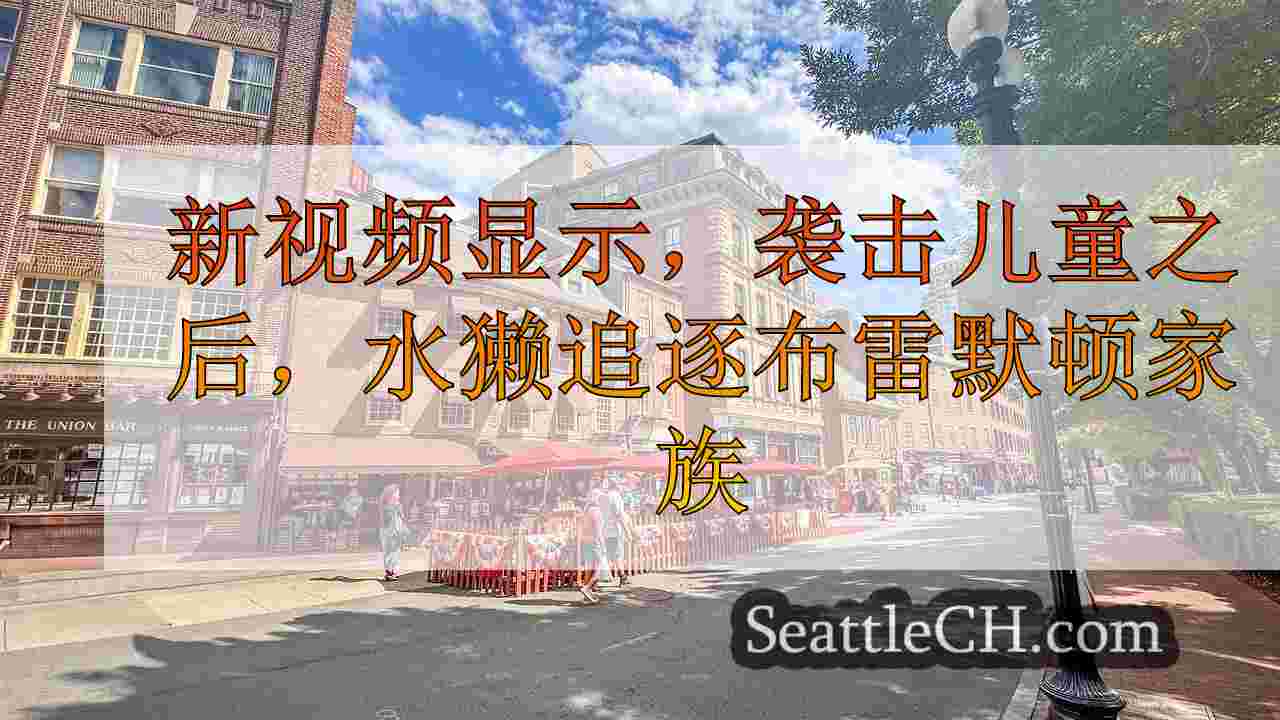 西雅图新闻 SeattleCH