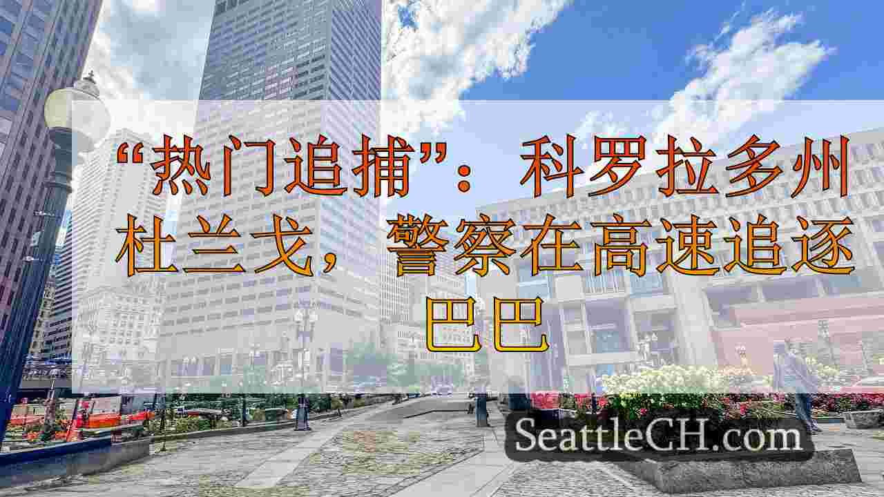 西雅图新闻 SeattleCH
