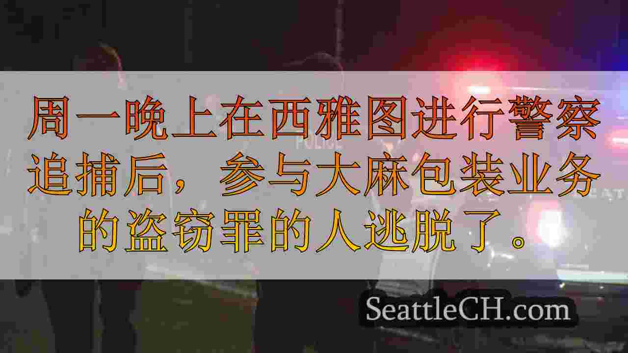 西雅图新闻 SeattleCH