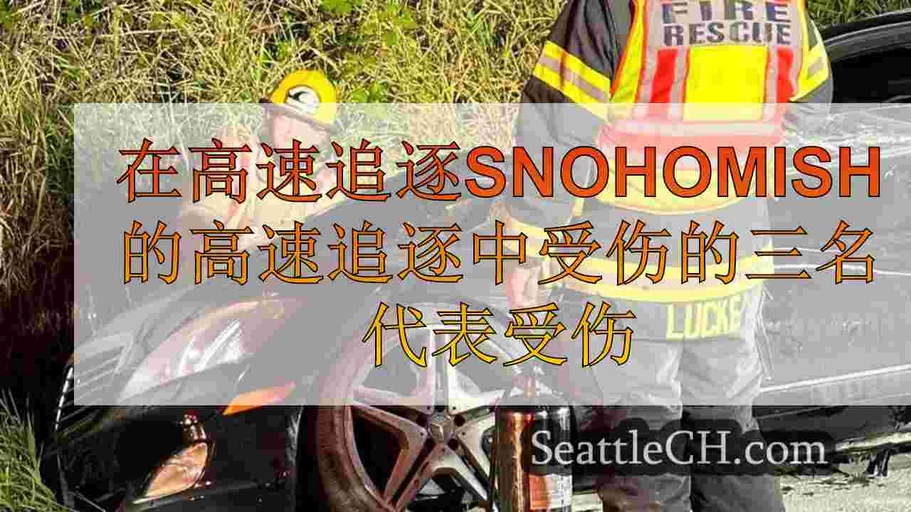 在Snohomish县高速追逐被盗汽车时受伤的三名代表受伤