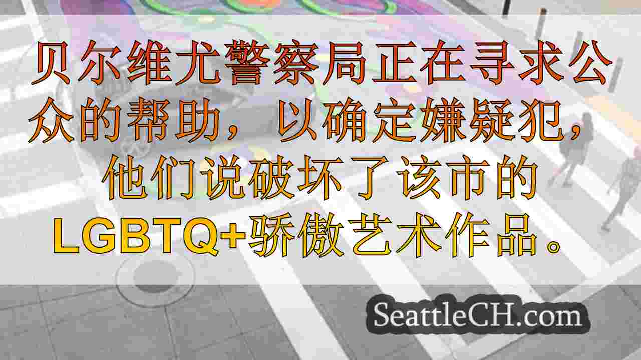 Bellevue警察寻求公众帮助，以确定骄傲艺术故意破坏的嫌疑人
