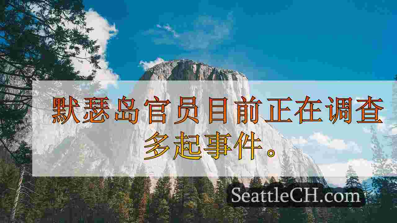 西雅图新闻 SeattleCH