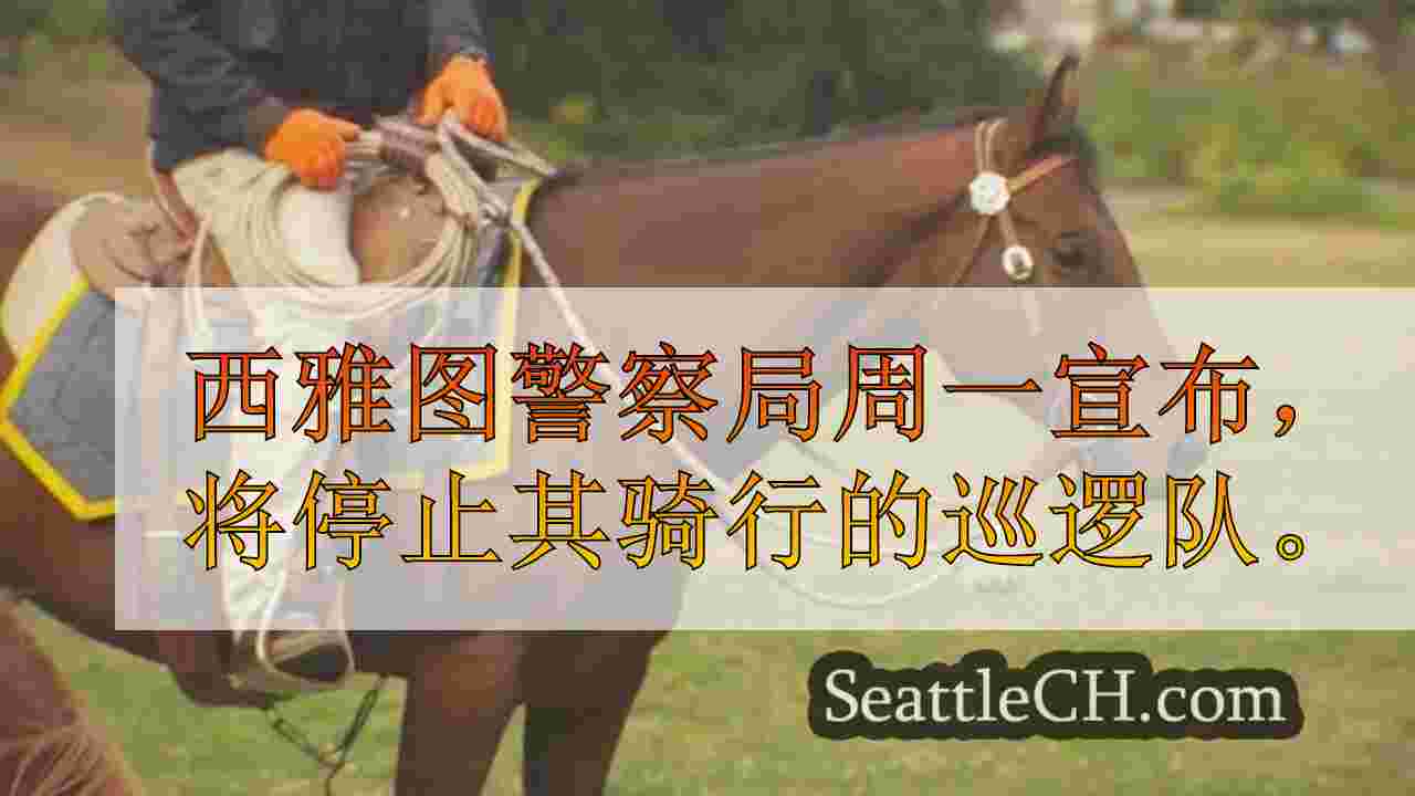 西雅图新闻 SeattleCH