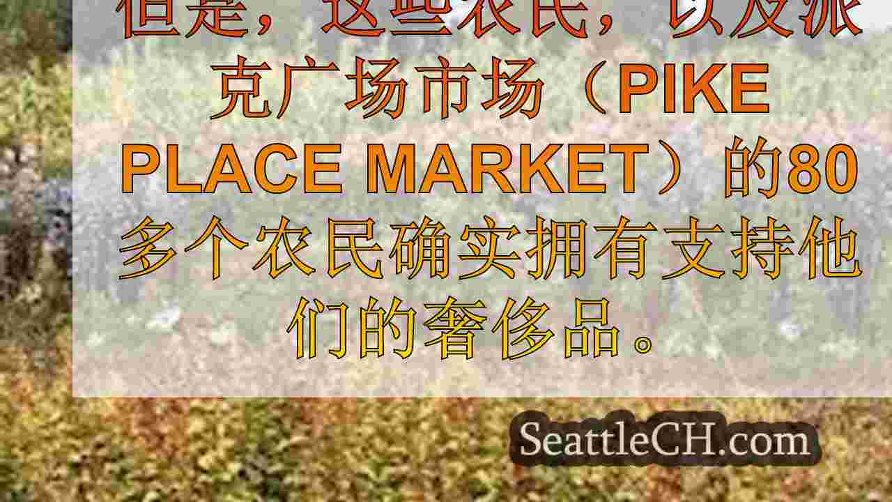西雅图新闻 SeattleCH