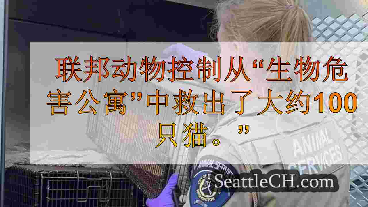 西雅图新闻 SeattleCH