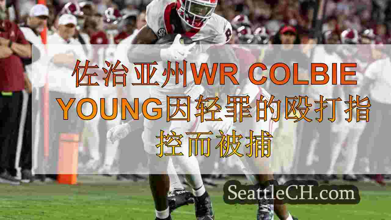 佐治亚州WR Colbie Young因轻罪殴打和殴打未出生的孩子而被捕