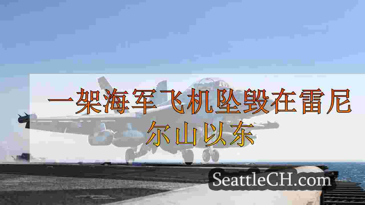 一架海军飞机坠毁在雷尼尔山以东
