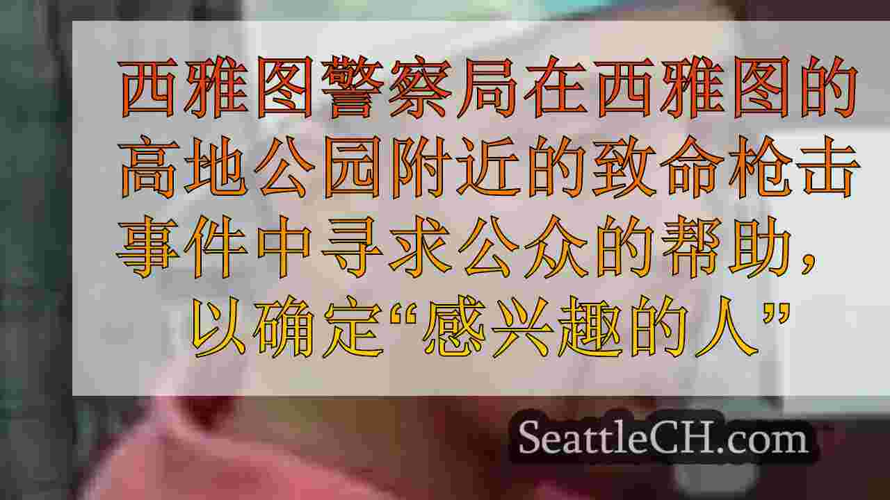 西雅图新闻 SeattleCH