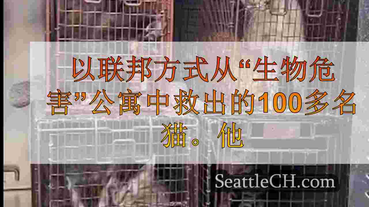 以联邦方式从“生物危害”公寓中救出的100多名猫。这是您可以提供帮助的方式。