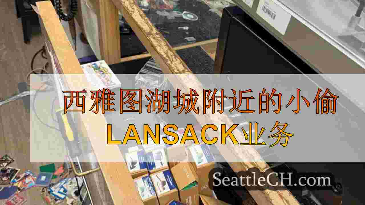 西雅图湖城附近的小偷lansack业务