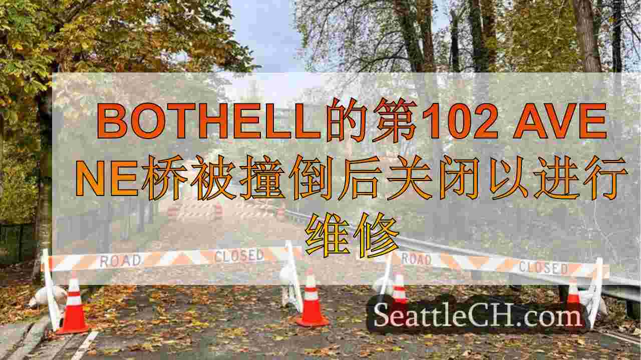 博塞尔（Bothell