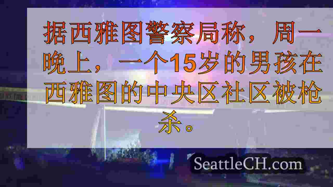 15岁男孩在中央地区致命射击，发现了十几个壳壳