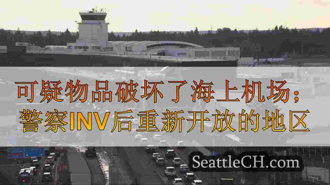 可疑物品破坏了海上机场；警察调查后重新开放的地区