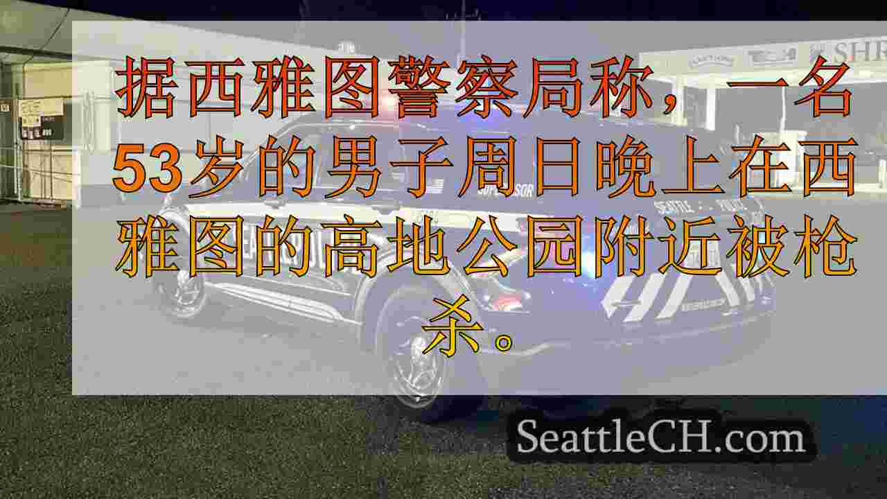 男子在西西雅图开枪杀死，可疑