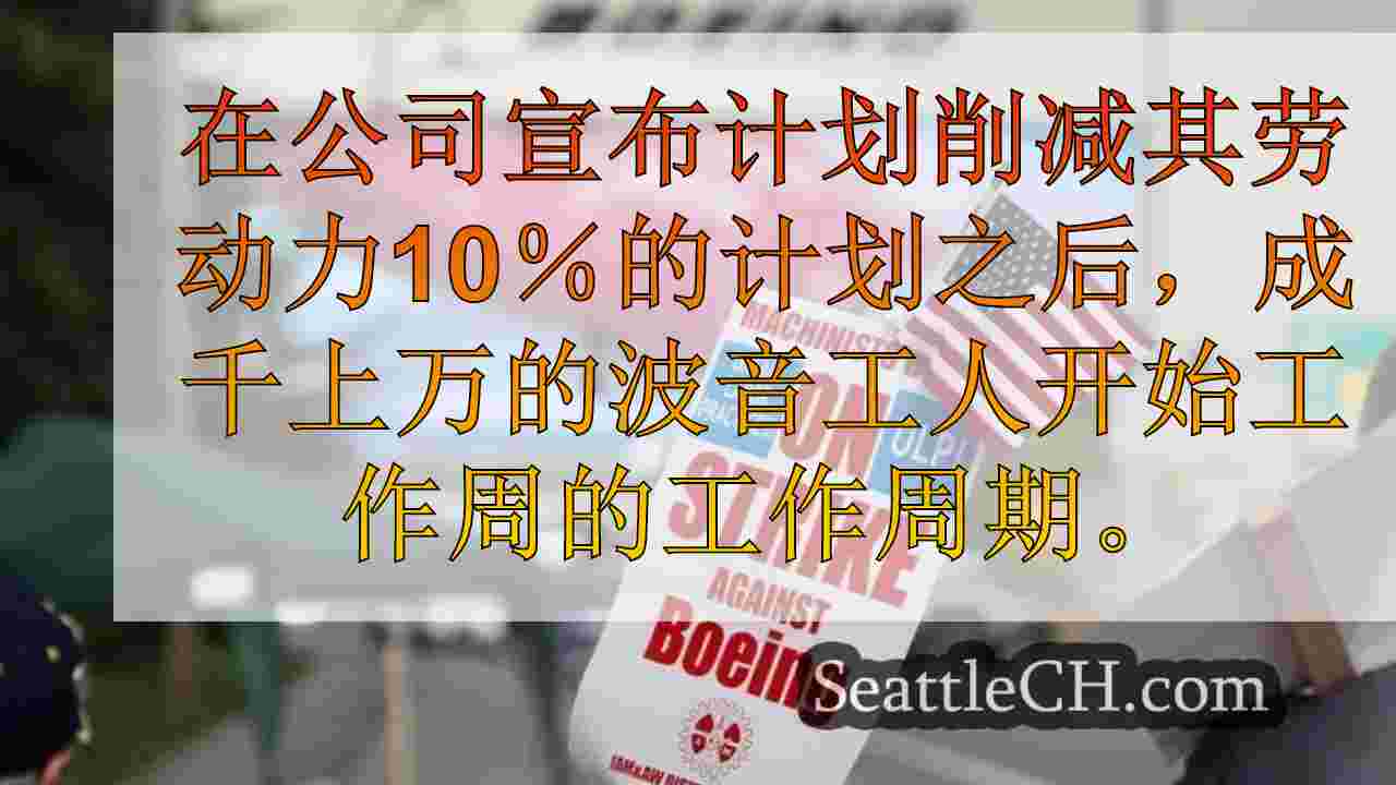西雅图新闻 SeattleCH