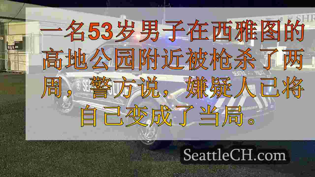 在致命的西西雅图枪击事件发生后的几周内自我转身