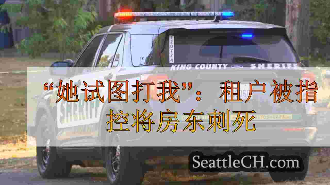 “她试图打我”：租户被指控在怀特中心刺杀房东因房租而死