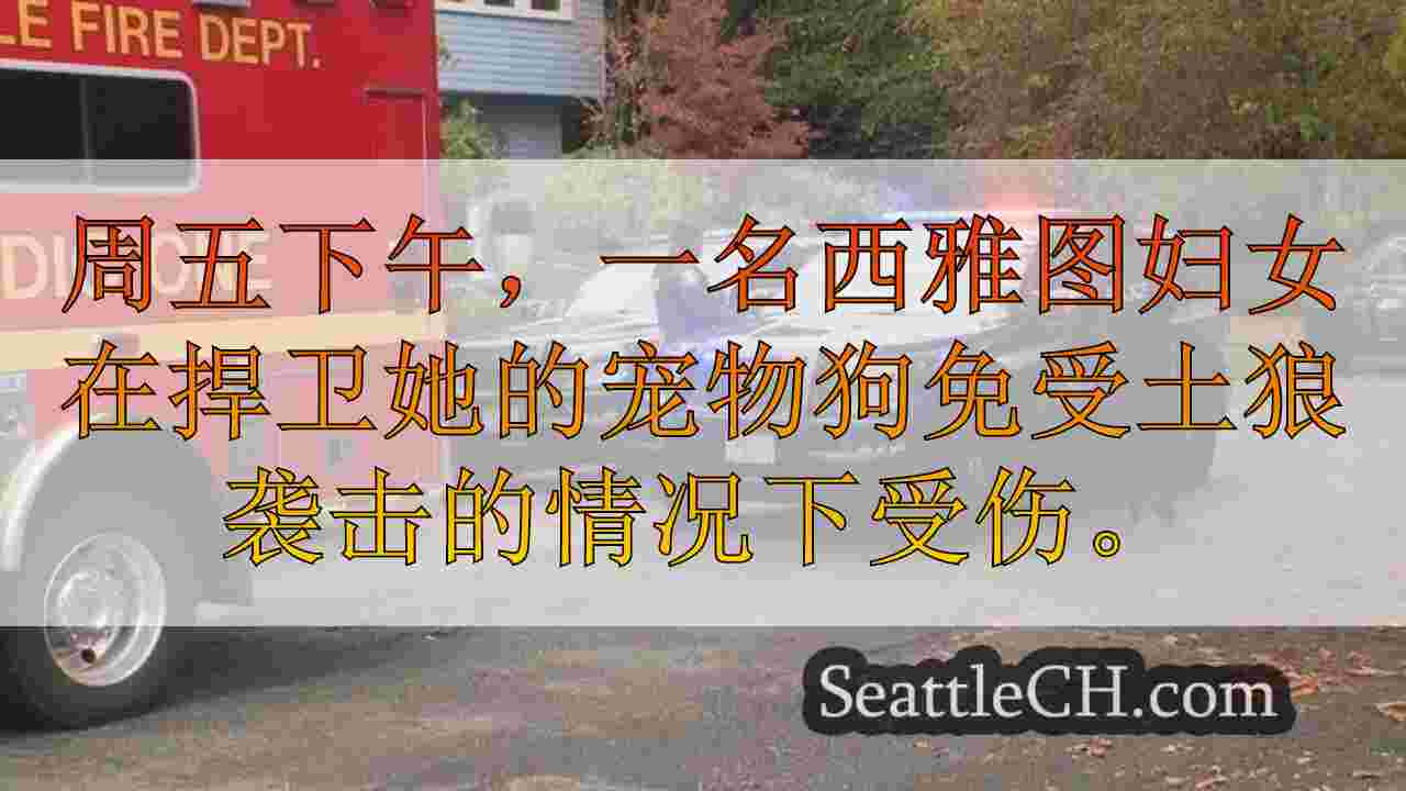 西雅图新闻 SeattleCH