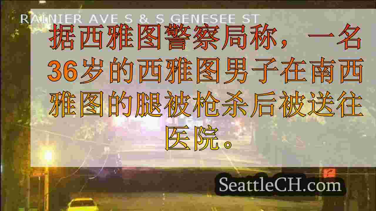 明天清晨南西雅图射击后住院