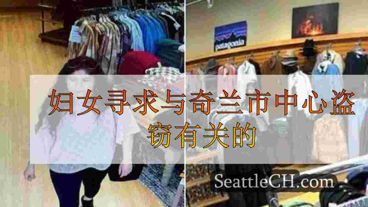 妇女寻求与奇兰市中心盗窃有关的