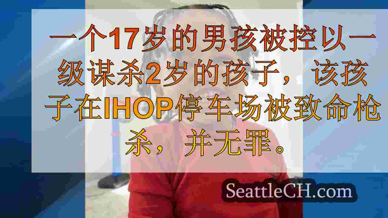 被指控以联邦方式杀害2岁的青少年枪击诉状无罪