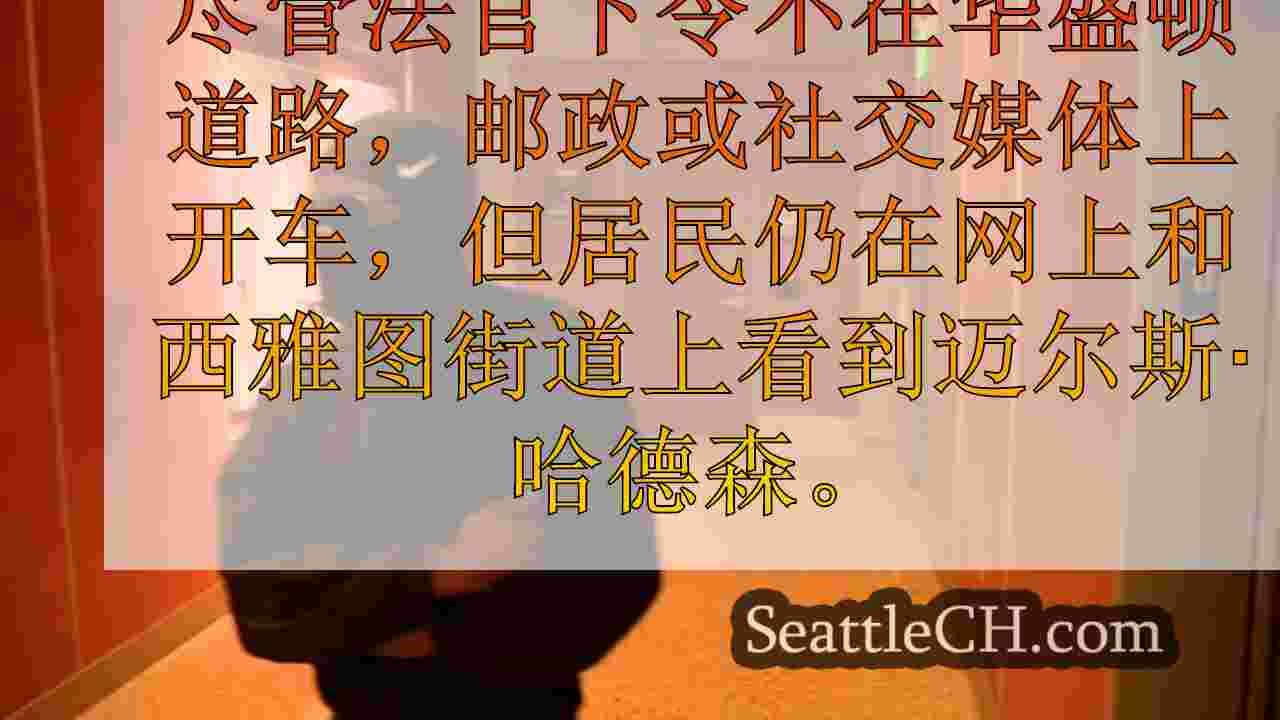 西雅图的“贝尔敦地狱猫”违反了房屋监控规则