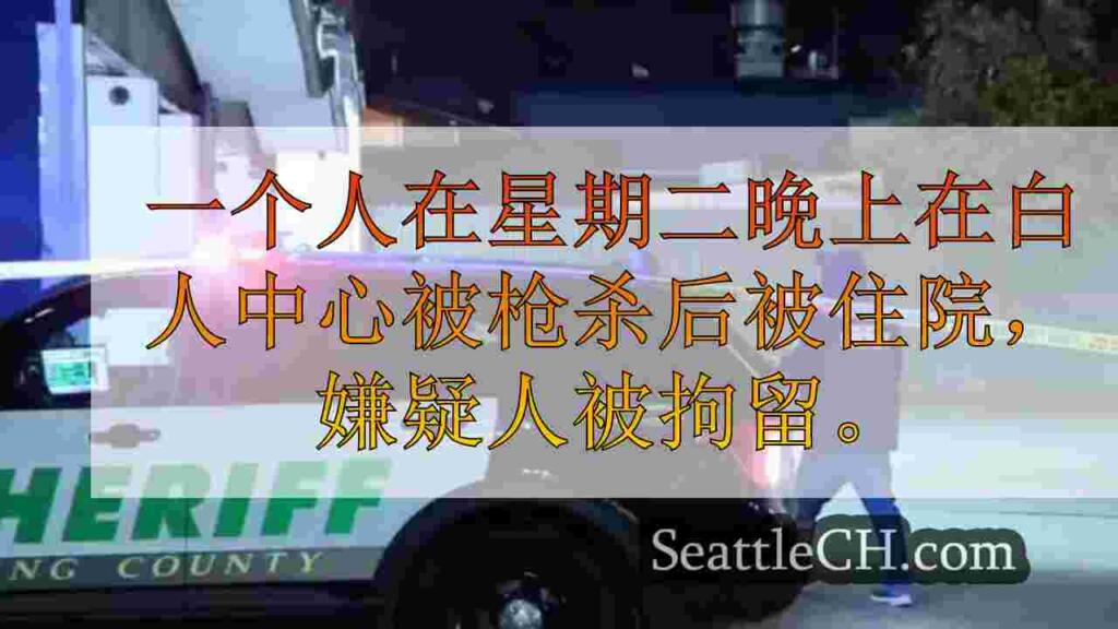 嫌疑人在西雅图的白人中心附近拍摄1次射击