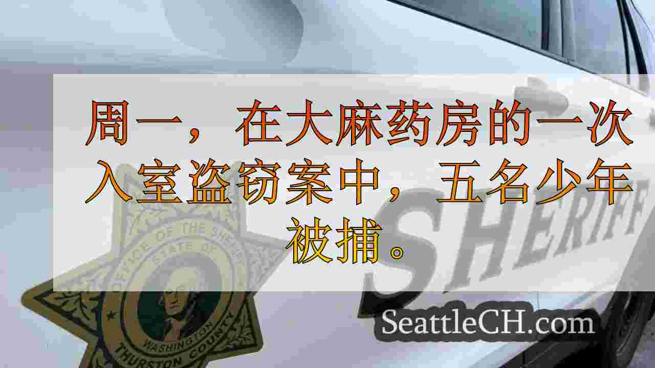5名少年在撞到池塘后因Tumwater Pot Shop入室盗窃而被捕