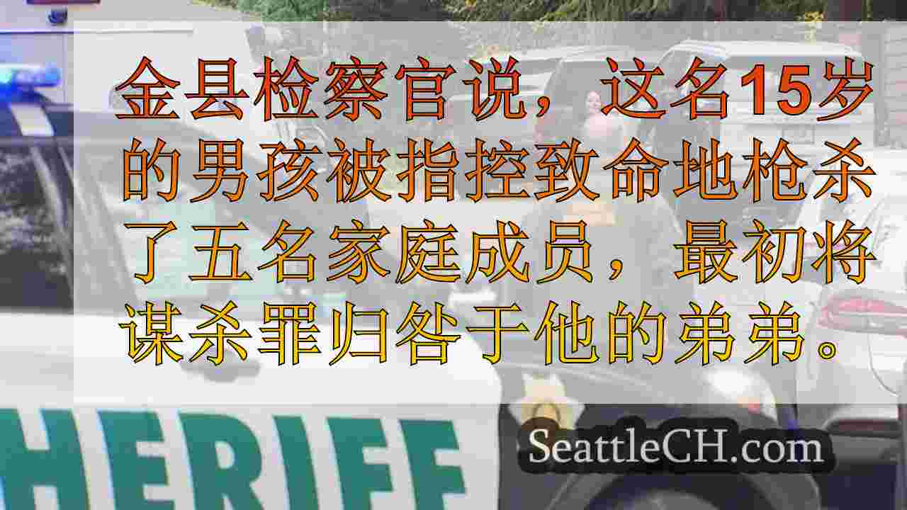 15岁的男孩被指控杀害家庭，登台场景构成已故的弟弟