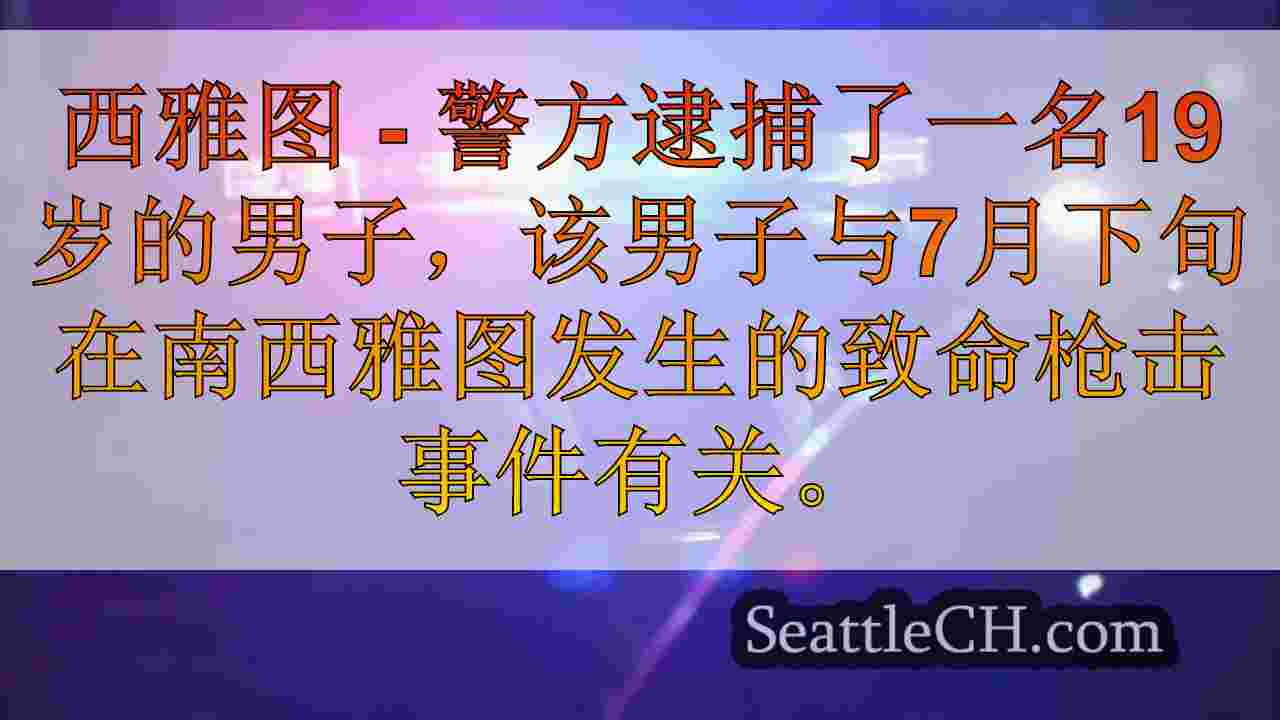 警察逮捕嫌疑犯在南西图南部致命枪击事件中