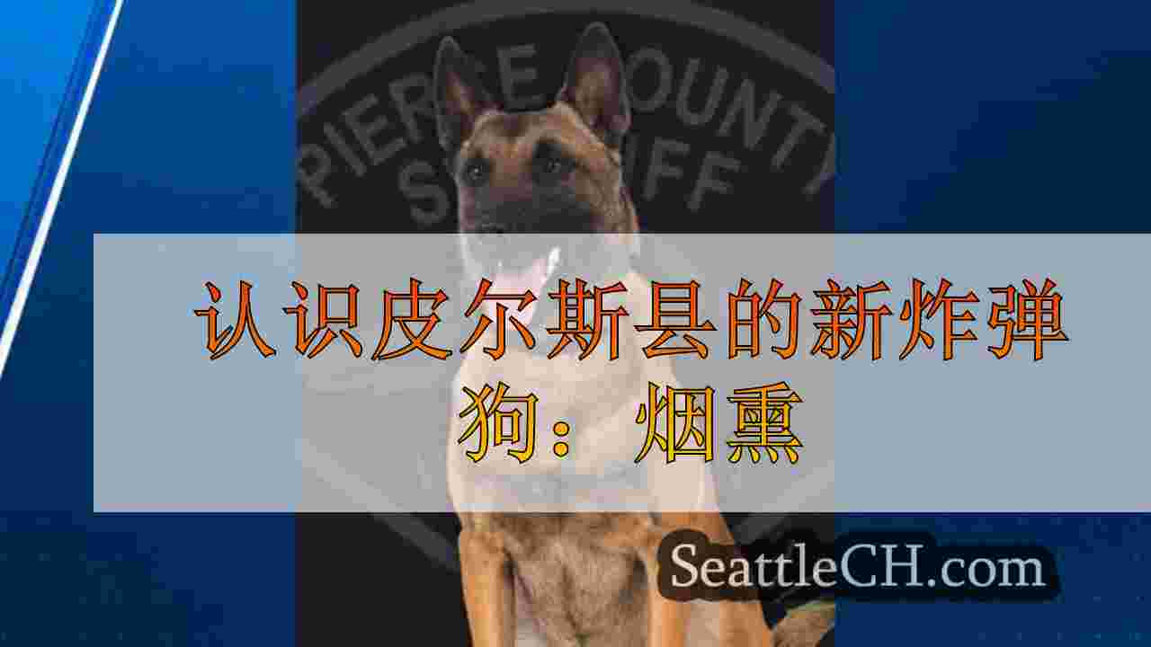 认识皮尔斯县的新炸弹狗：烟熏