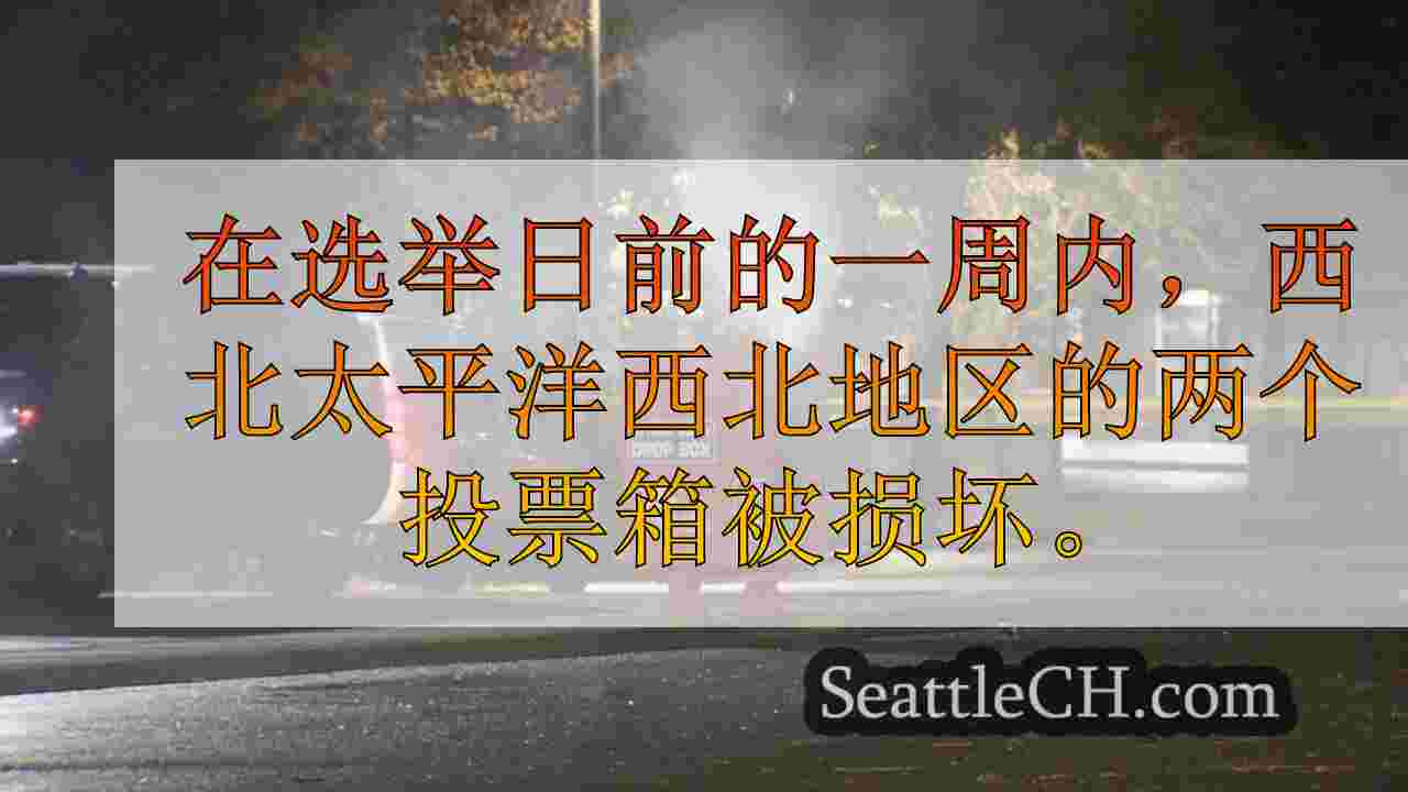 投票盒射击重新点燃选举阴谋理论使他们的关注
