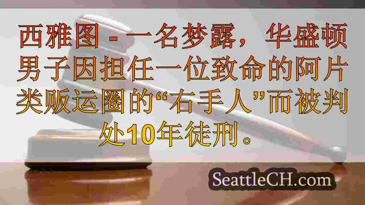 西澳人因扮演毒品戒指的“右手人”的角色被判刑10年