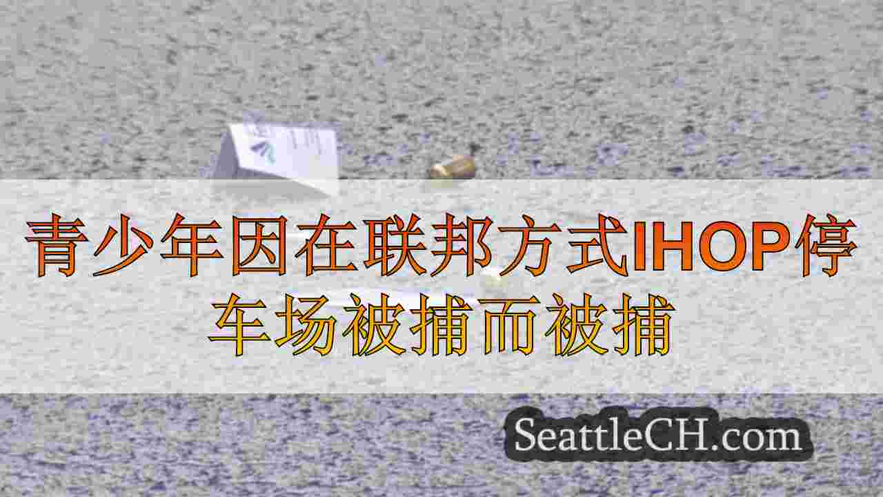 青少年因在联邦方式IHOP停车场被捕而被捕