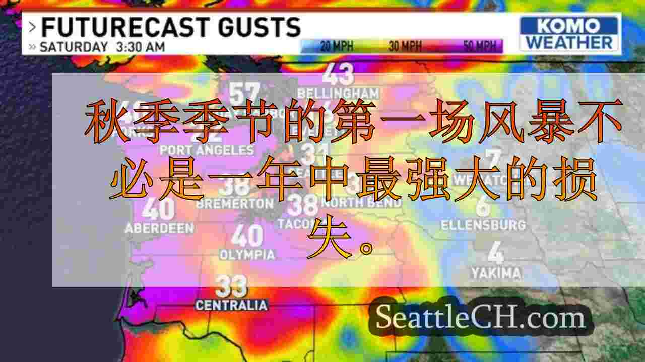 西雅图新闻 SeattleCH