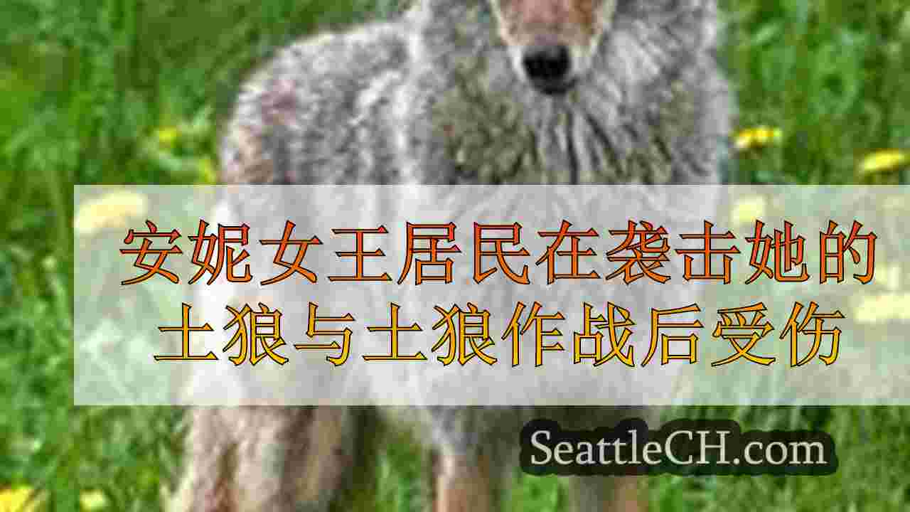 安妮女王居民在与土狼袭击她的狗的战斗后受伤