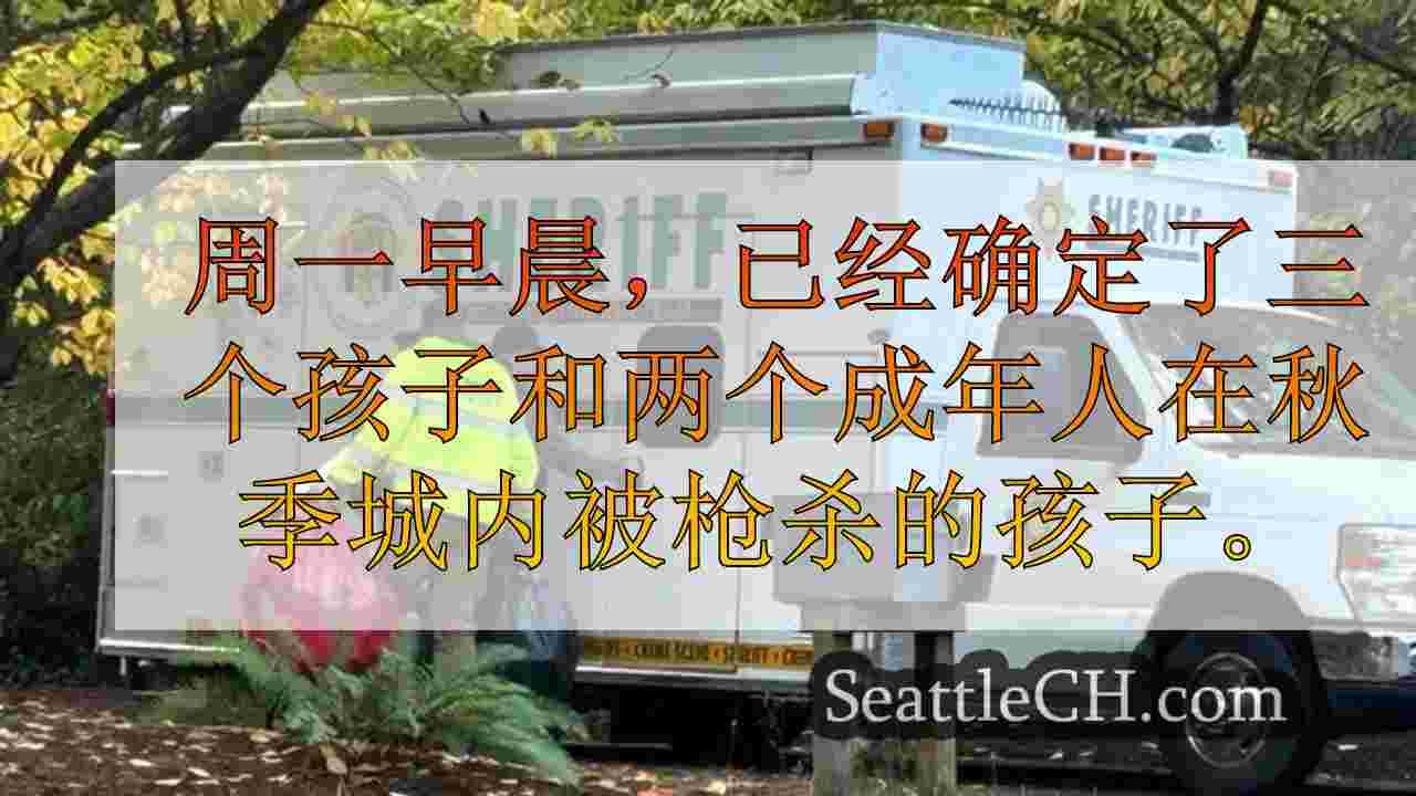 3名少年，2名在秋季射击中被杀的成年人