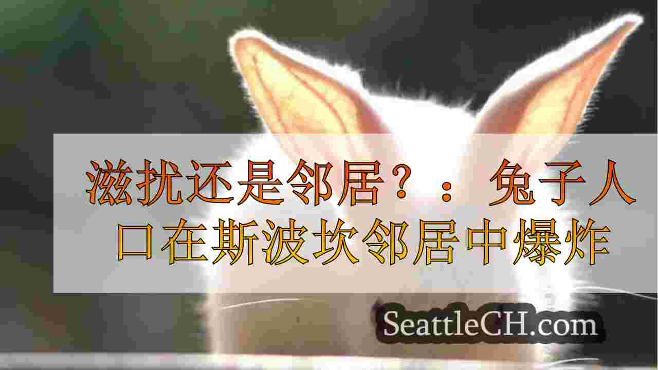 滋扰还是邻居？：兔子人口在斯波坎社区爆炸
