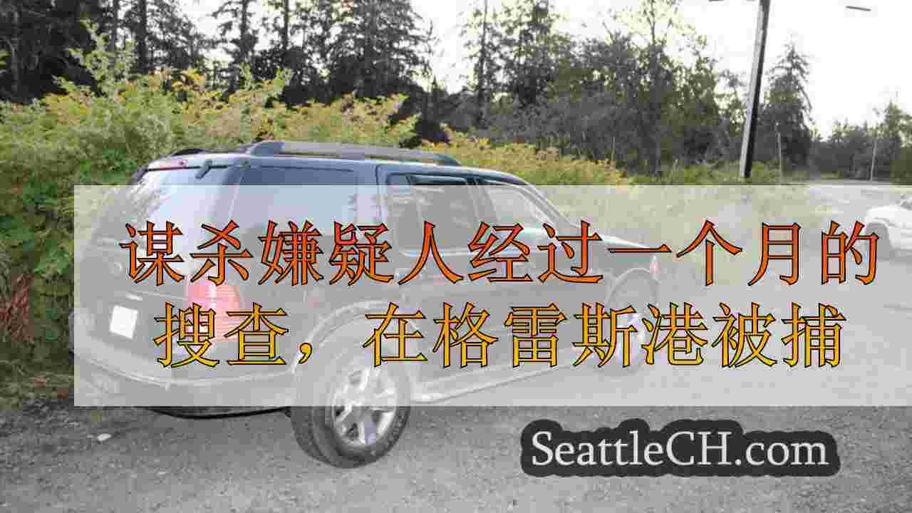 谋杀嫌疑人经过一个月的搜查，在格雷斯港被捕