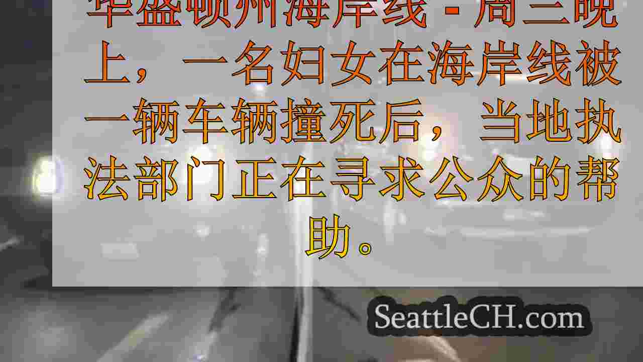 WSP在海岸线撞车中被杀死的妇女寻求帮助