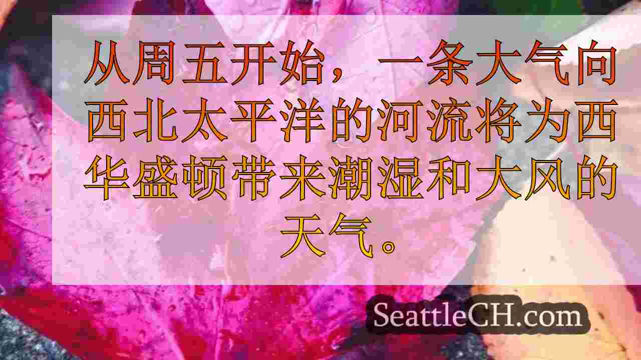 西雅图新闻 SeattleCH