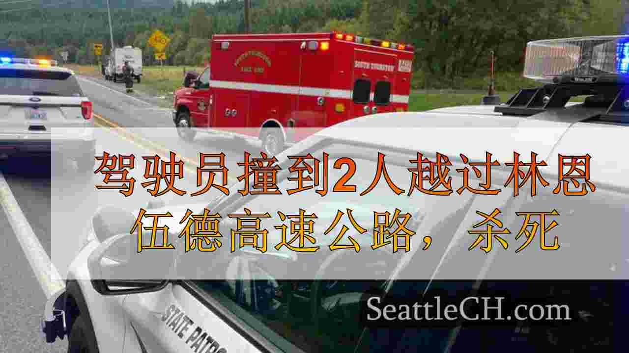 驾驶员撞到2人越过Lynnwood高速公路后逃跑，杀死1